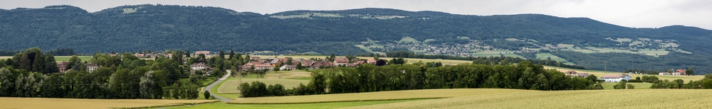 Panorama4 1